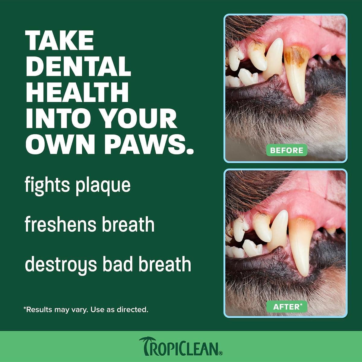 TropiClean Fresh Breath Dog Tooth Brushing Kit for Small/Medium Dogs