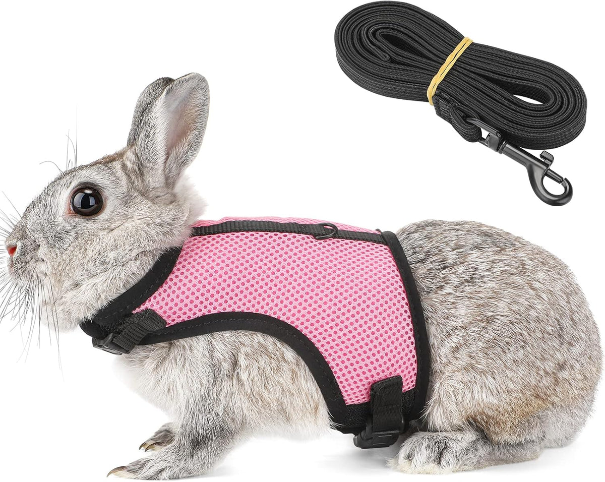 PETTOM Bunny Rabbit Harness with Stretchy Leash Cute Adjustable Buckle Breathable Mesh Vest for Kitten Small Pets Walking (Blue,XS)