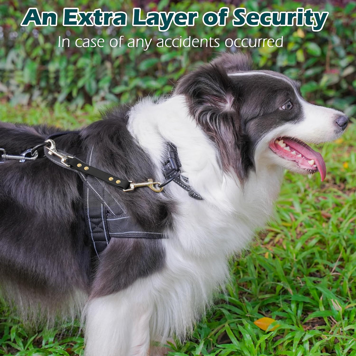 PetBonus Dog Collar Safety Clip, Waterproof Backup Safety Strap