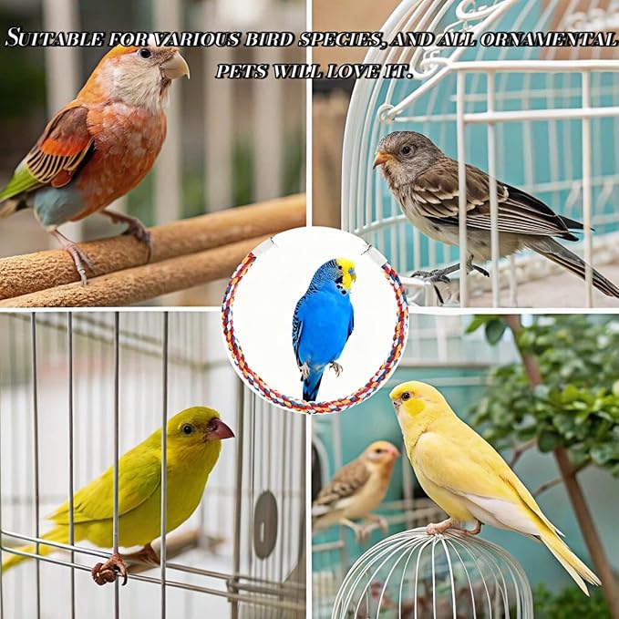 Bird Rope Perches, Parrot Toys, Bungee Rope Perches - Image 7