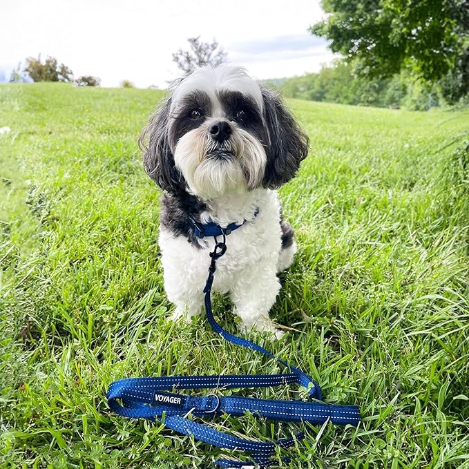 Best Pet Supplies Voyager Reflective Dog Leash or Collar - Image 5