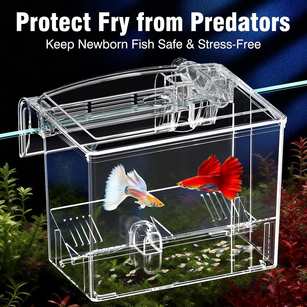 Acrylic Fish Breeder Box,Multifunction Aquarium Isolation Box,Separator Hatchery Incubator Tank for Guppy, Betta, Clownfish, Baby & Injured Fish,Aquarium Bio Filter Material Box,Clear Water