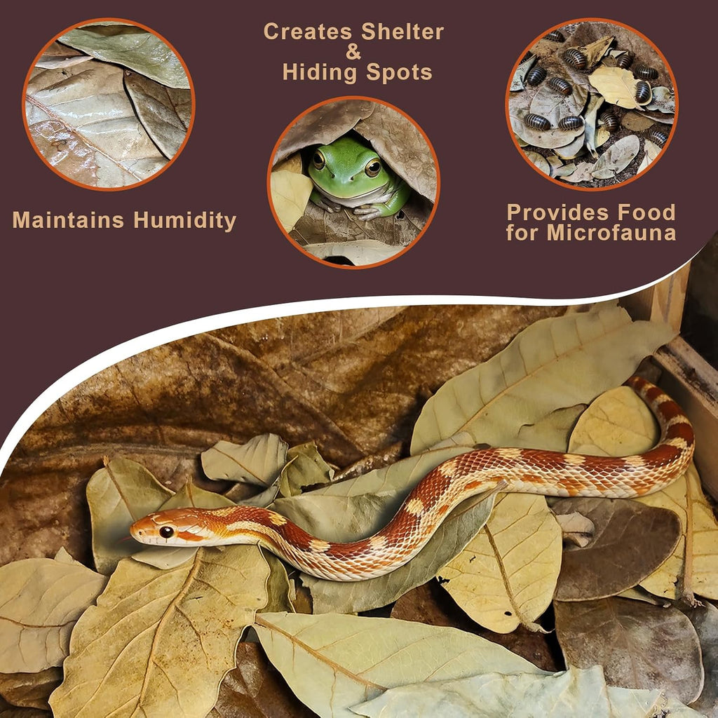 120PCS Dry Oak Leaf Litter Substrate Terrarium Bedding for Reptiles