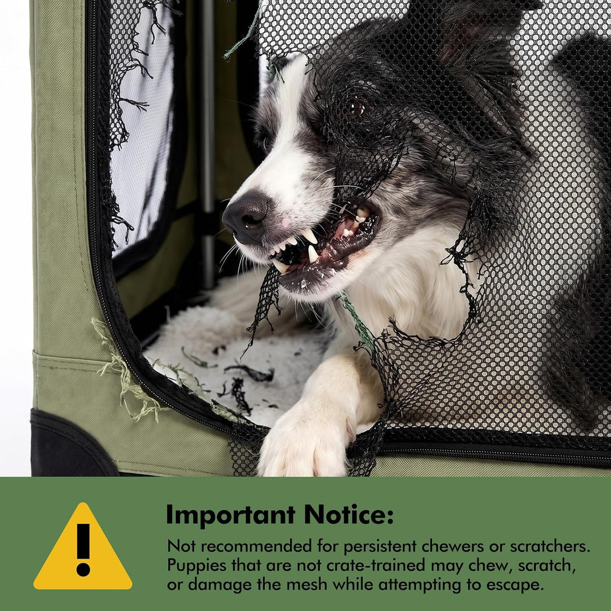 Veraste 30 in Collapsible Dog Crate for Medium Dogs, 4 Door Kennel,Green