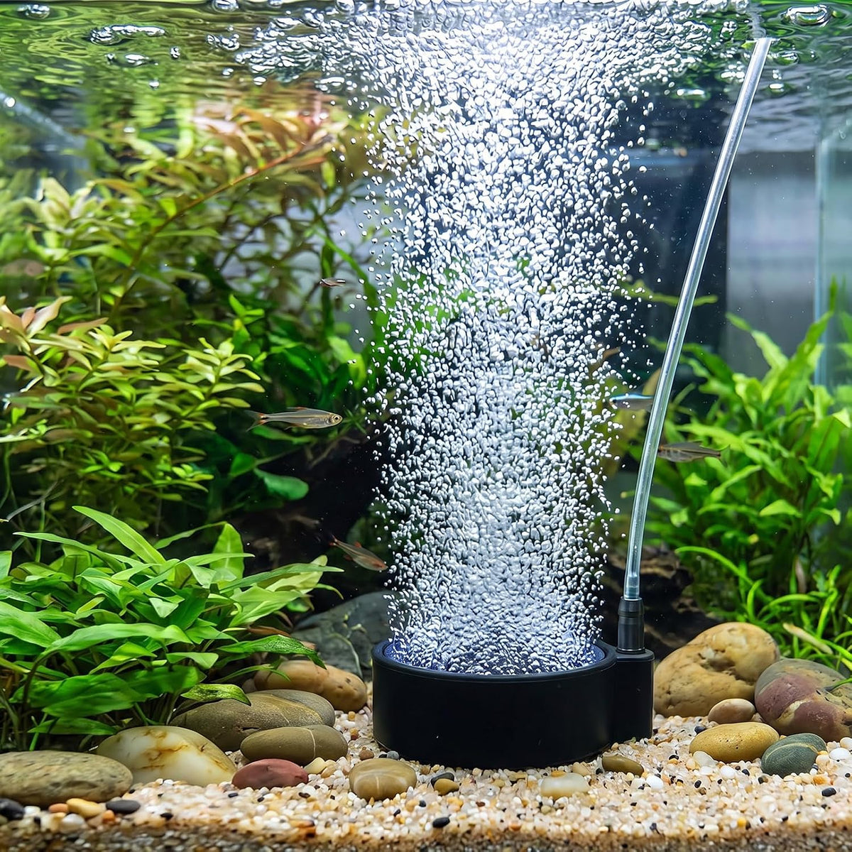Fine Bubble Aquarium Air Stones,Adjustable Flow Fish Tank Bubbler