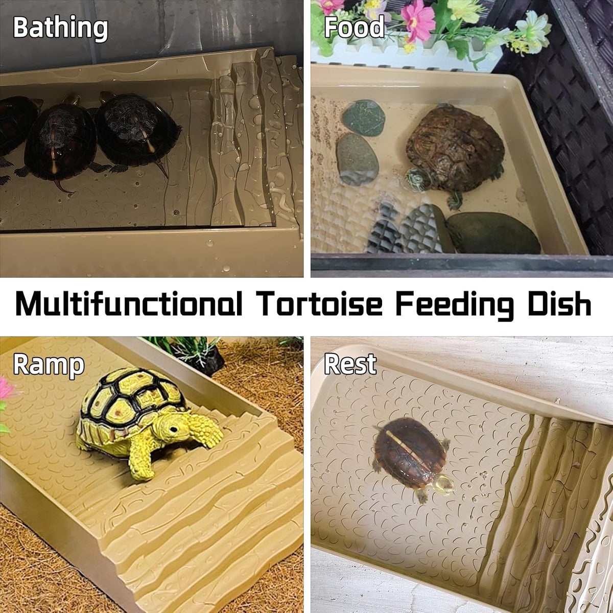 7 PCS Reptile Water Dish Bathing Pool Tortoise Habitat Accessories