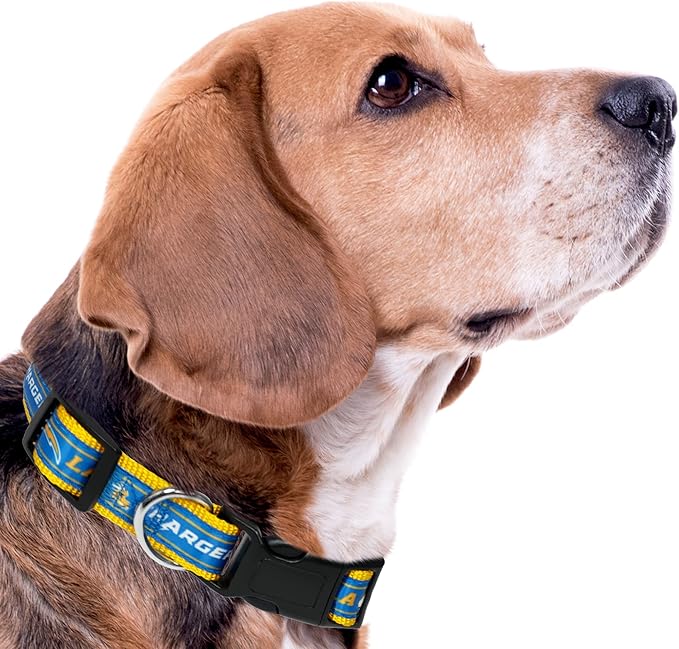 NFL PET Collar Los Angeles Chargers Dog Collar, Medium Football Team Collar - Image 7