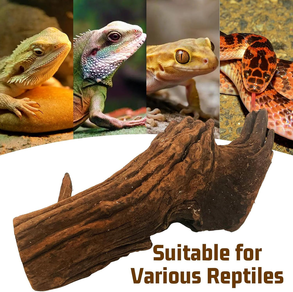 Hamiledyi Bearded Dragon Driftwood for Reptile, 10in Snake Climbing Branch