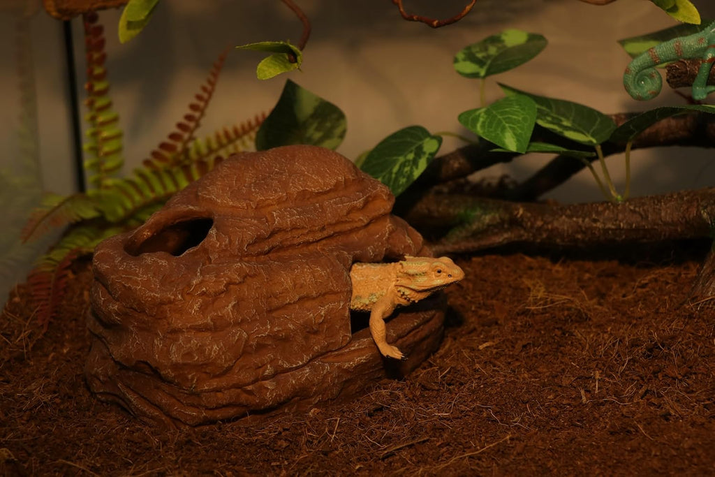 AQUA KT Reptile Hide and Cave Hideout for Snake Crested Gecko Ball Python