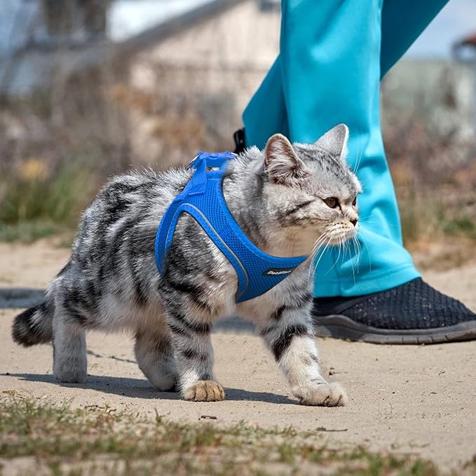 PetiFine Extra Small Step in Dog Harness and Leash Set, Cat Harness and Leash - Image 7