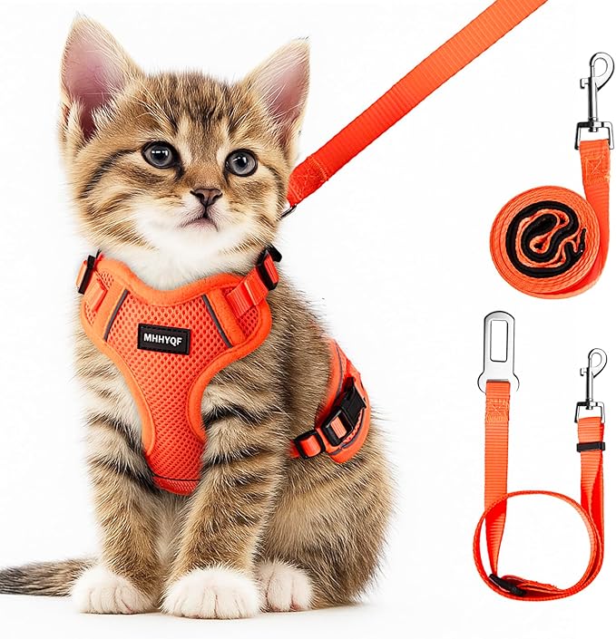 Cat Harness and Leash for Walking Escape Proof Soft Adjustable Cat Leash by Unknown