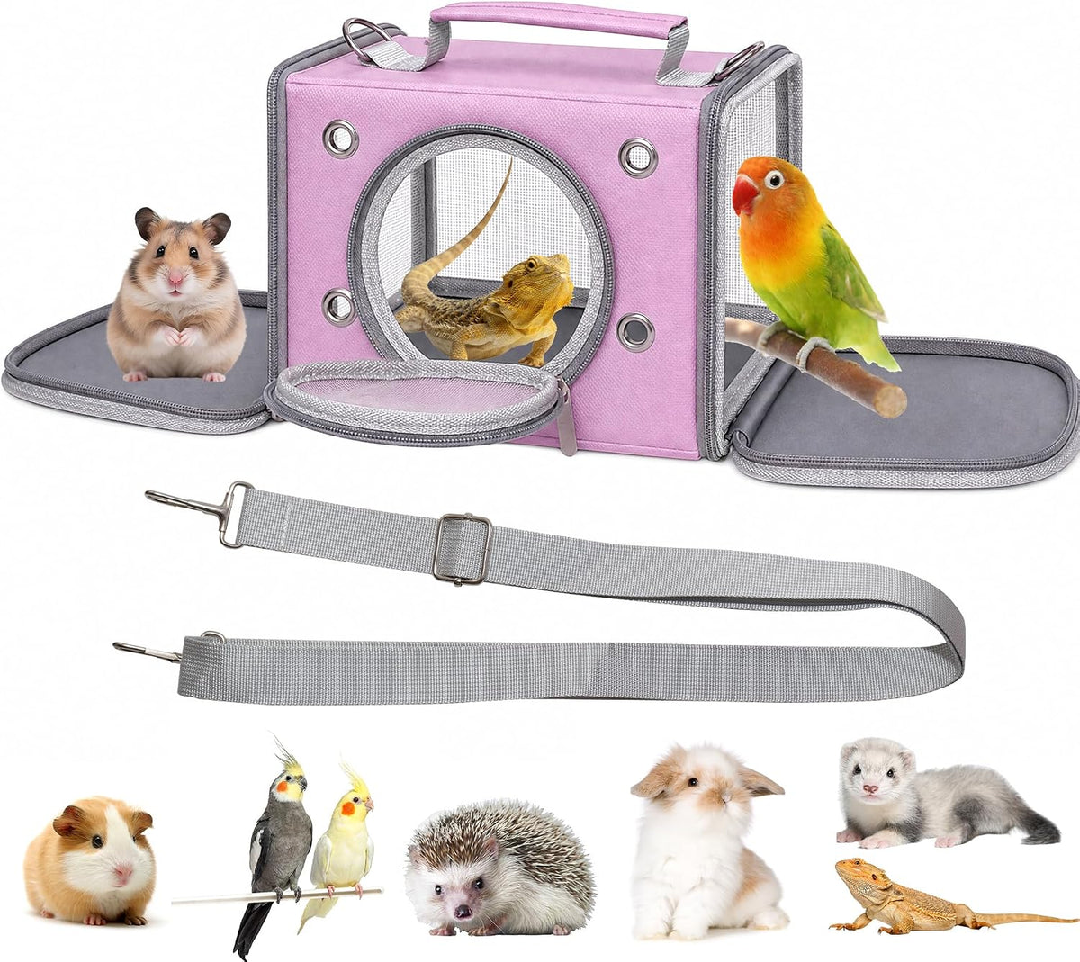 Portable Small Animal Travel Carrier, Foldable Breathable Travel Pet Cage for Hamsters, Guinea Pigs, Rabbits, Birds & Reptiles, Bird Carrier for Small Parrots & Parakeets (Large, Green)