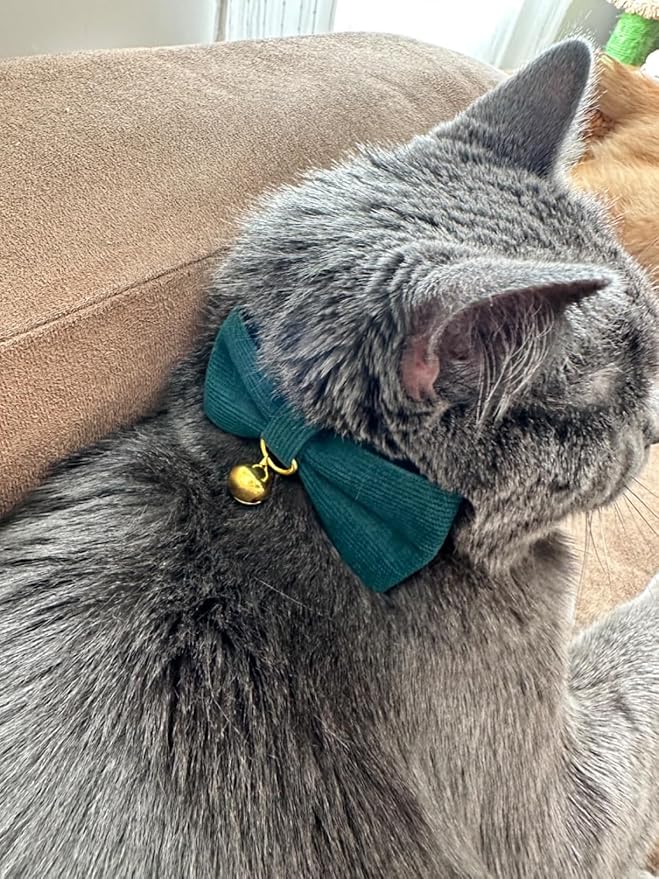 Soft Corduroy Cat Collar with Bell and Bowtie, Safety Breakaway Clasp, - Image 5