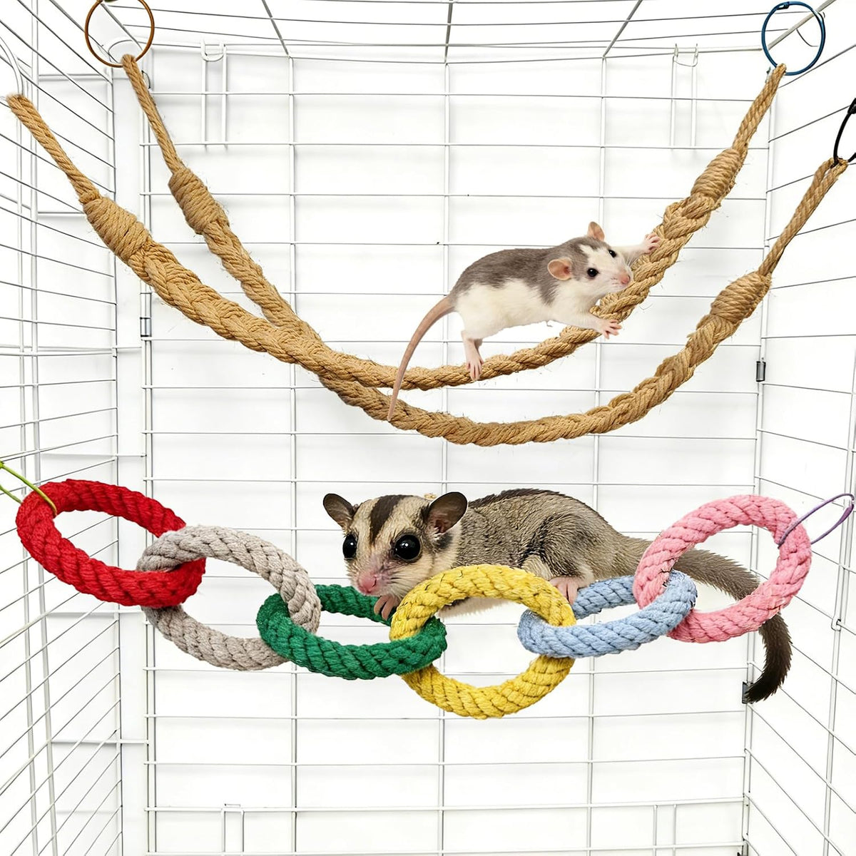 Sugar Glider Climbing Rope Toys Rat Cage Hanging Toys Small Animal Climbing Rings Cage Accessories for Flying Squirrel Sugar Glider Hamster Parrots