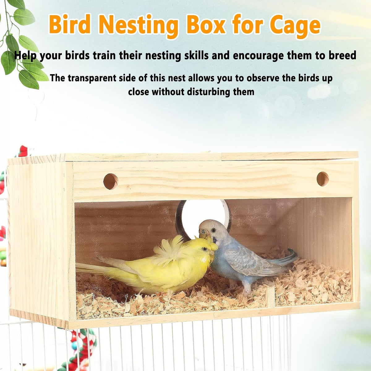 Parakeet Nesting Box with Acrylic Window, Natural Wood Breeding Box with Perch and Top-Open Lid, Bird Cage Nest House for Cockatiel Budgie Lovebirds Conure, Medium 9.8 x 4.7 x 4.9 in