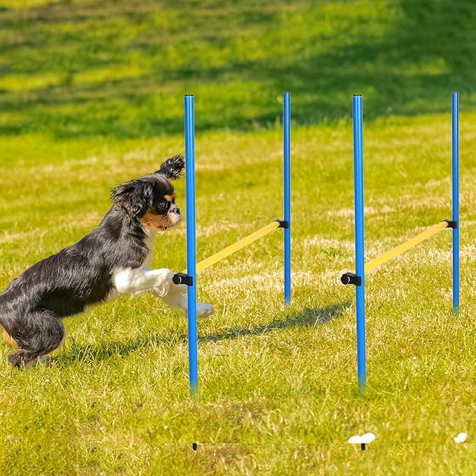 8 Set Dog Agility Jump Adjustable Dog Agility Hurdle Training Equipment - Image 5