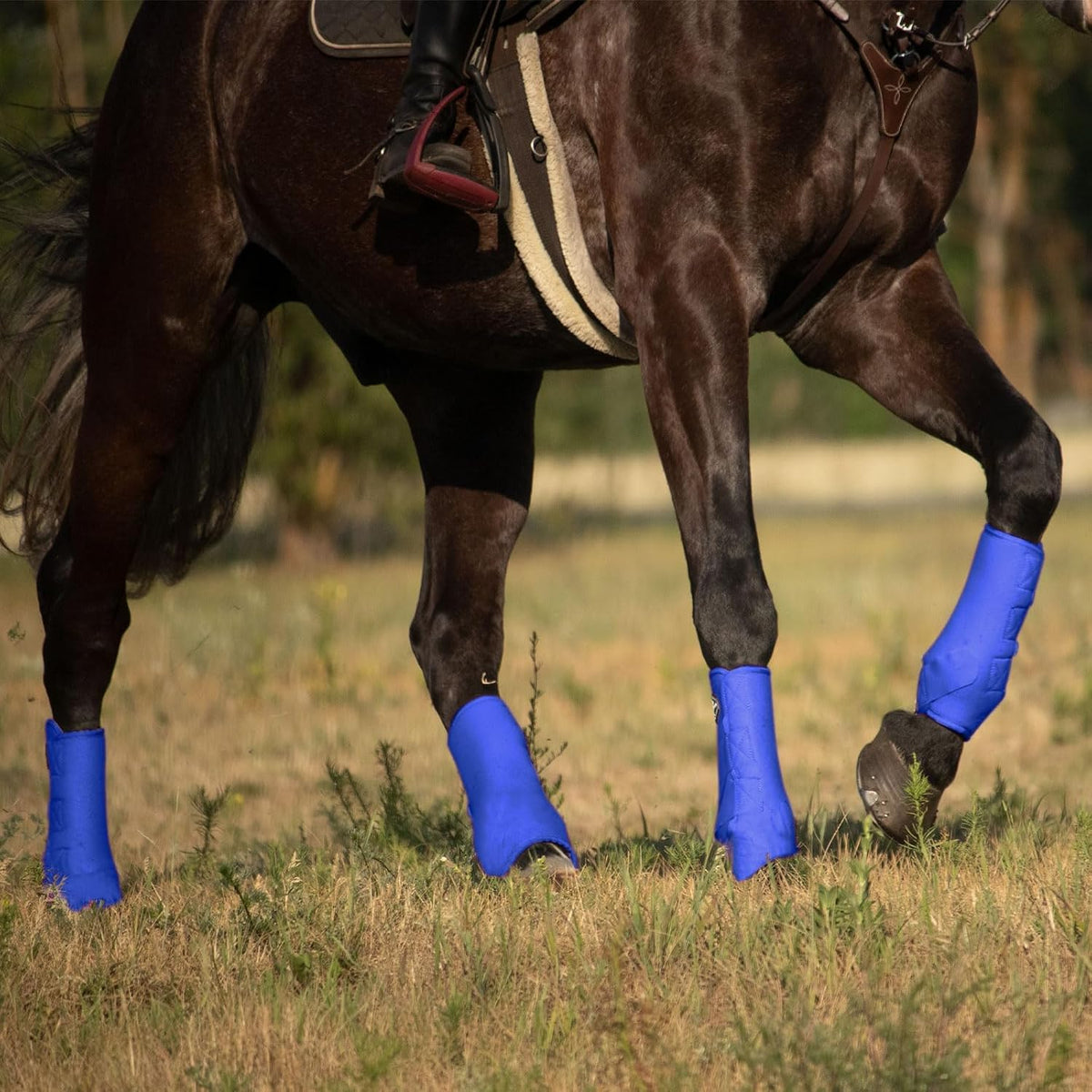 Harrison Howard 4-Pack Horse Sport Boots, Protective Horse Boots