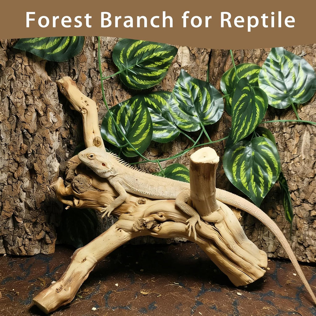 BNOSDM Reptile Branches, 11.5-14.1inch Snake Climbing Branch, Terrarium Wood Branch Decor, Bearded Dragon Tank Climbing Accessories for Lizard, Gecko, Frog,Chameleon
