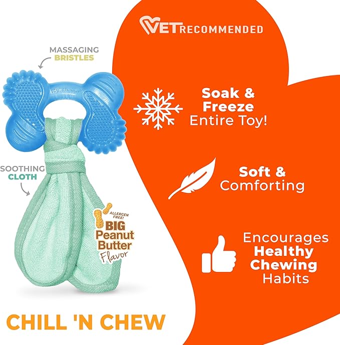 Nylabone Freezer Bone Puppy Chew Toy, Soothing Teething Toys - Image 3