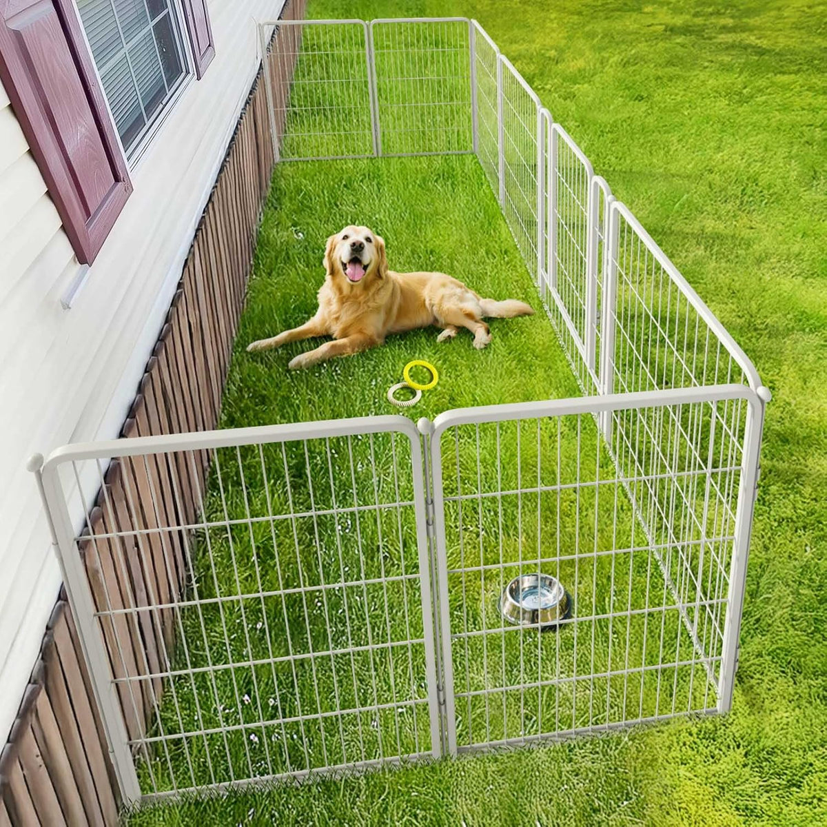FXW Rollick Dog Playpen, Indoor, Yard & RV Camping, 40" H, 8 Panels