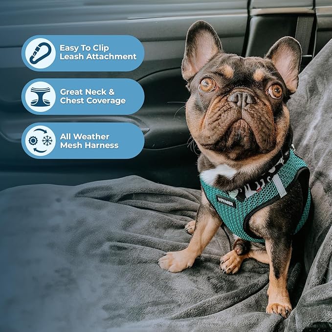 Best Pet Supplies - Image 2