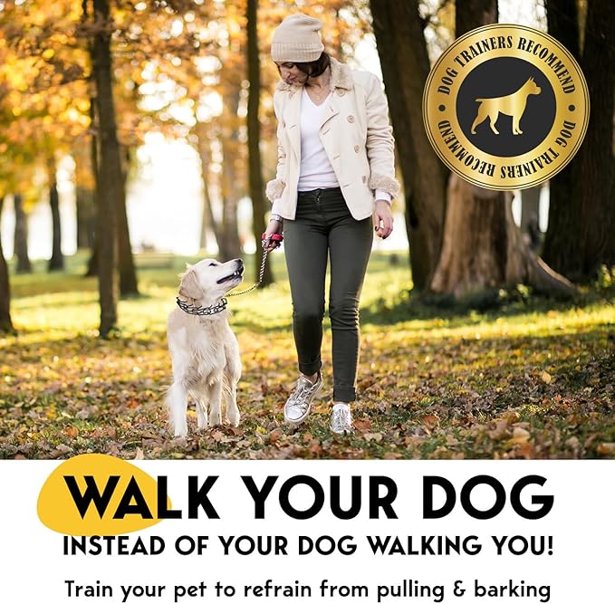 PetJett Prong Collar for Dogs - Image 2