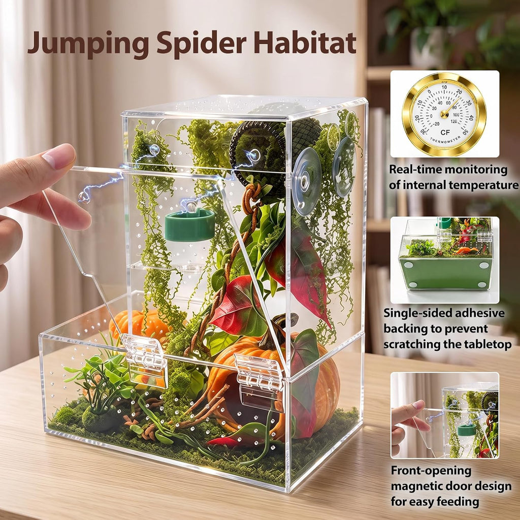Large Jumping Spider Enclosure Kit for Spiders Manti Snail & Small Reptiles