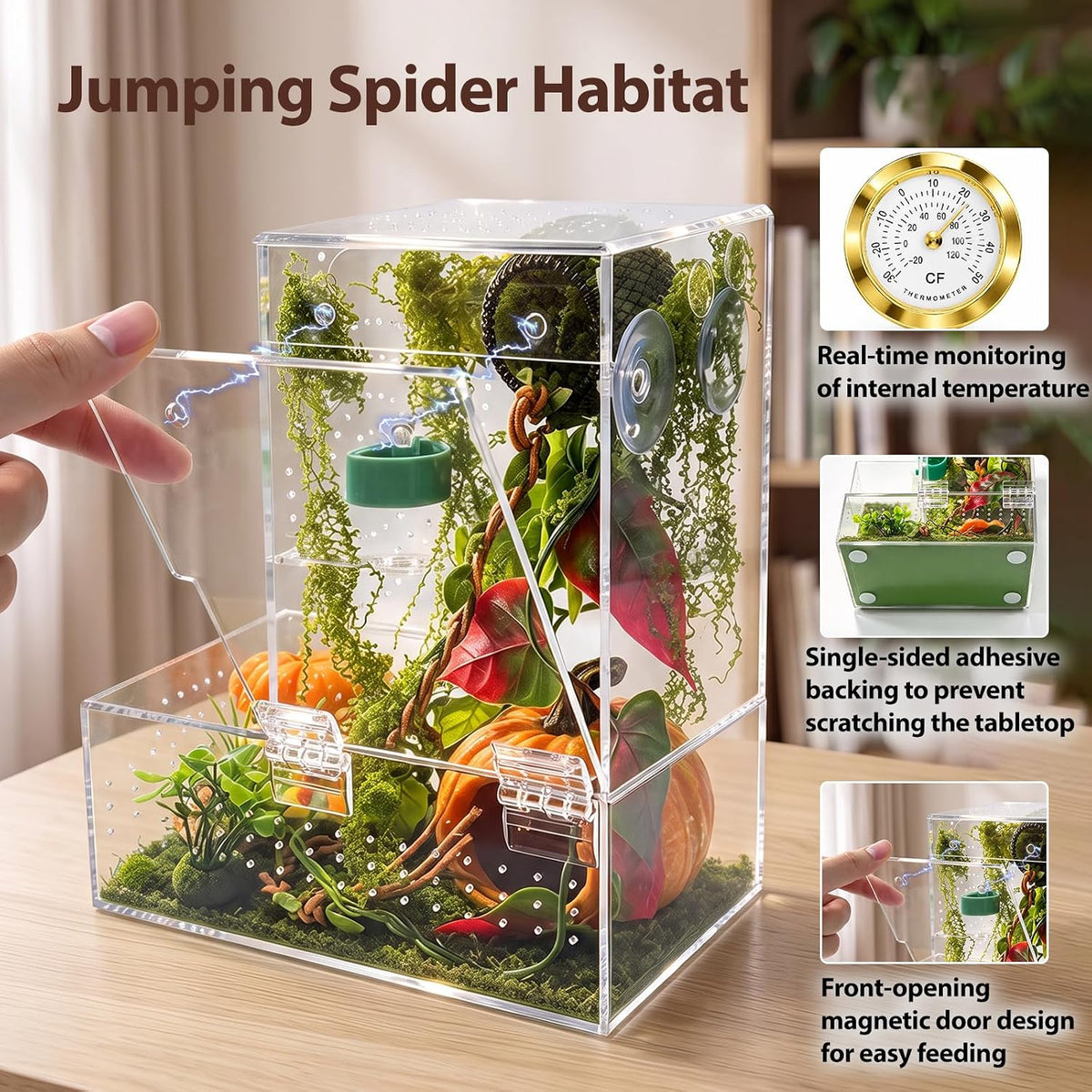 Large Jumping Spider Enclosure Kit for Spiders Manti Snail & Small Reptiles