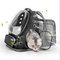 Expandable Cat Backpack, Cat Bubble Backpack Carrier by Cawypety