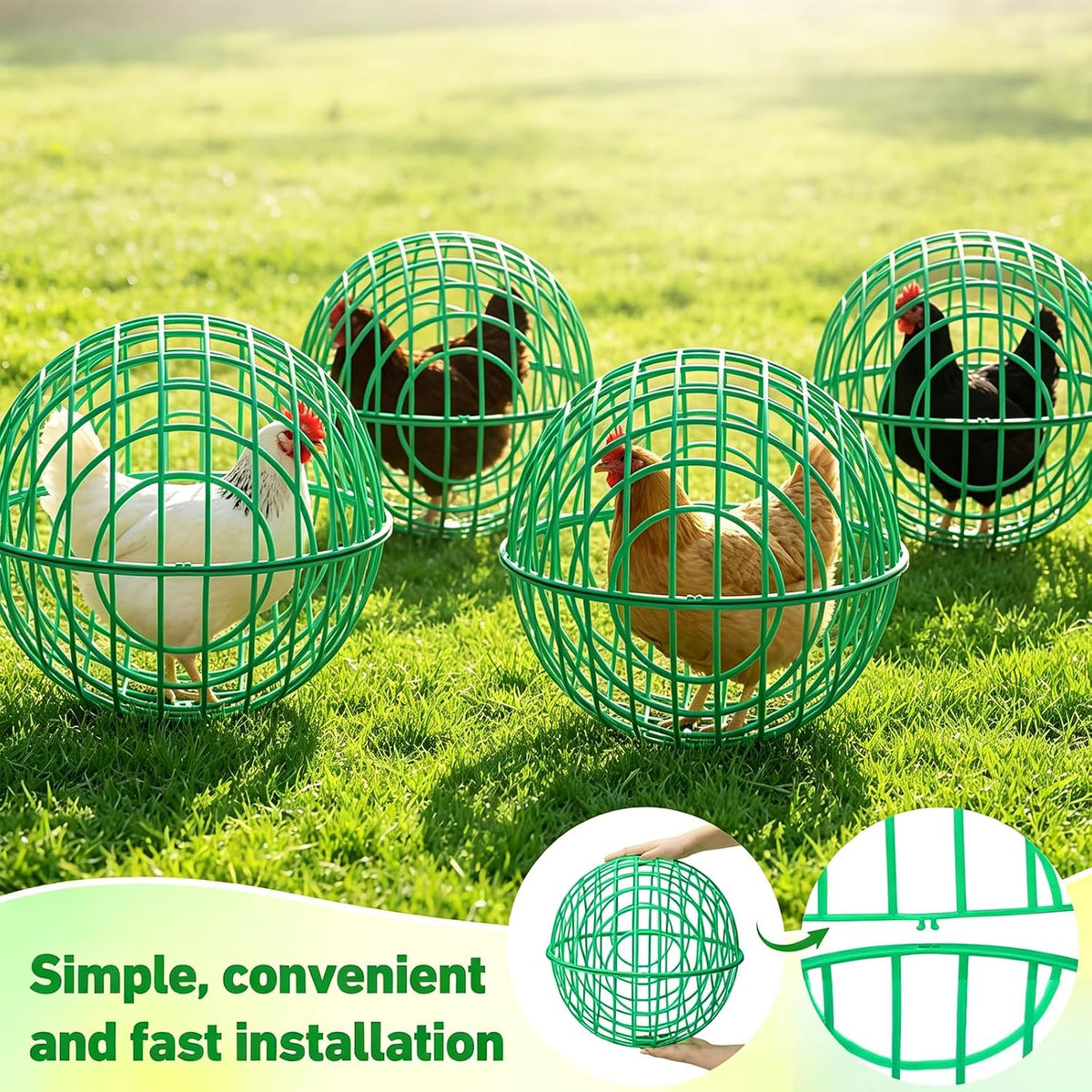 Chicken Ball Cage 4 Pack