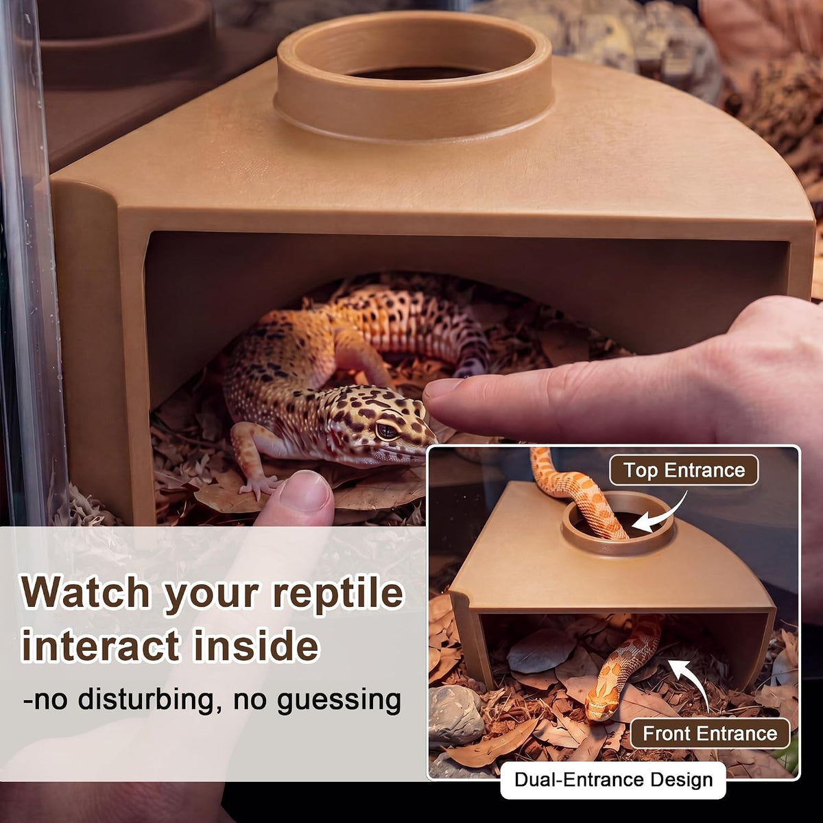 Reptile Corner Underground Cave Viewing Hide-Leopard Gecko Tank Accessories