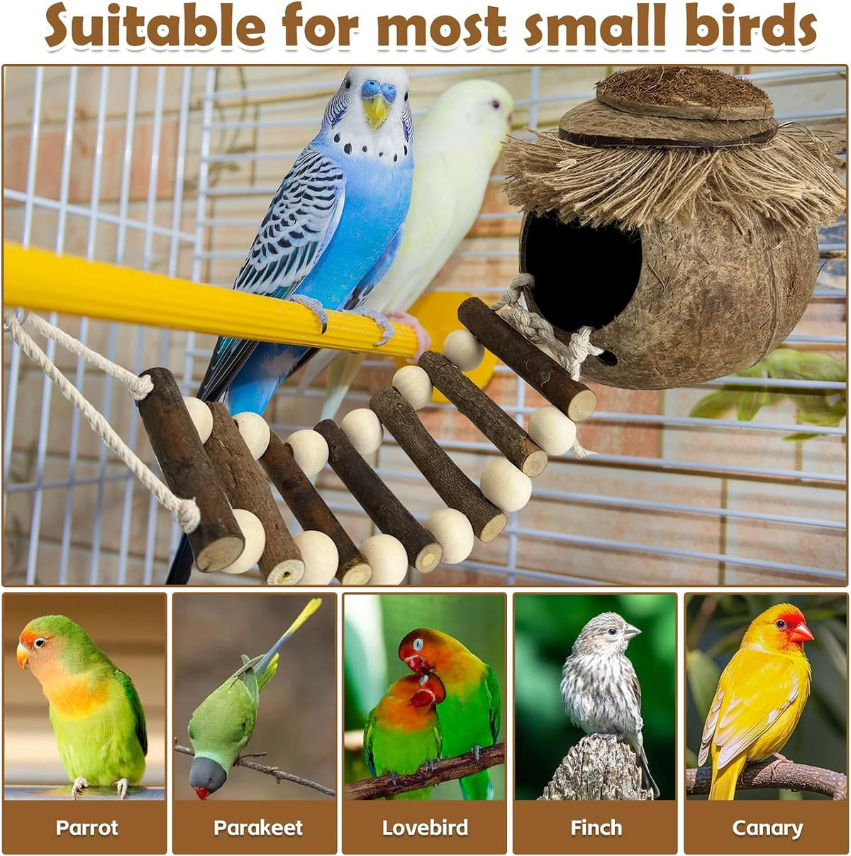 PINVNBY Hanging Coconut Bird Nest Hut with Ladder, Natural Coconut Hide Lovebird House Fruit Wood Bird Swing for Parakeet Cockatiel Budgie Conure Canary Finch Budgies