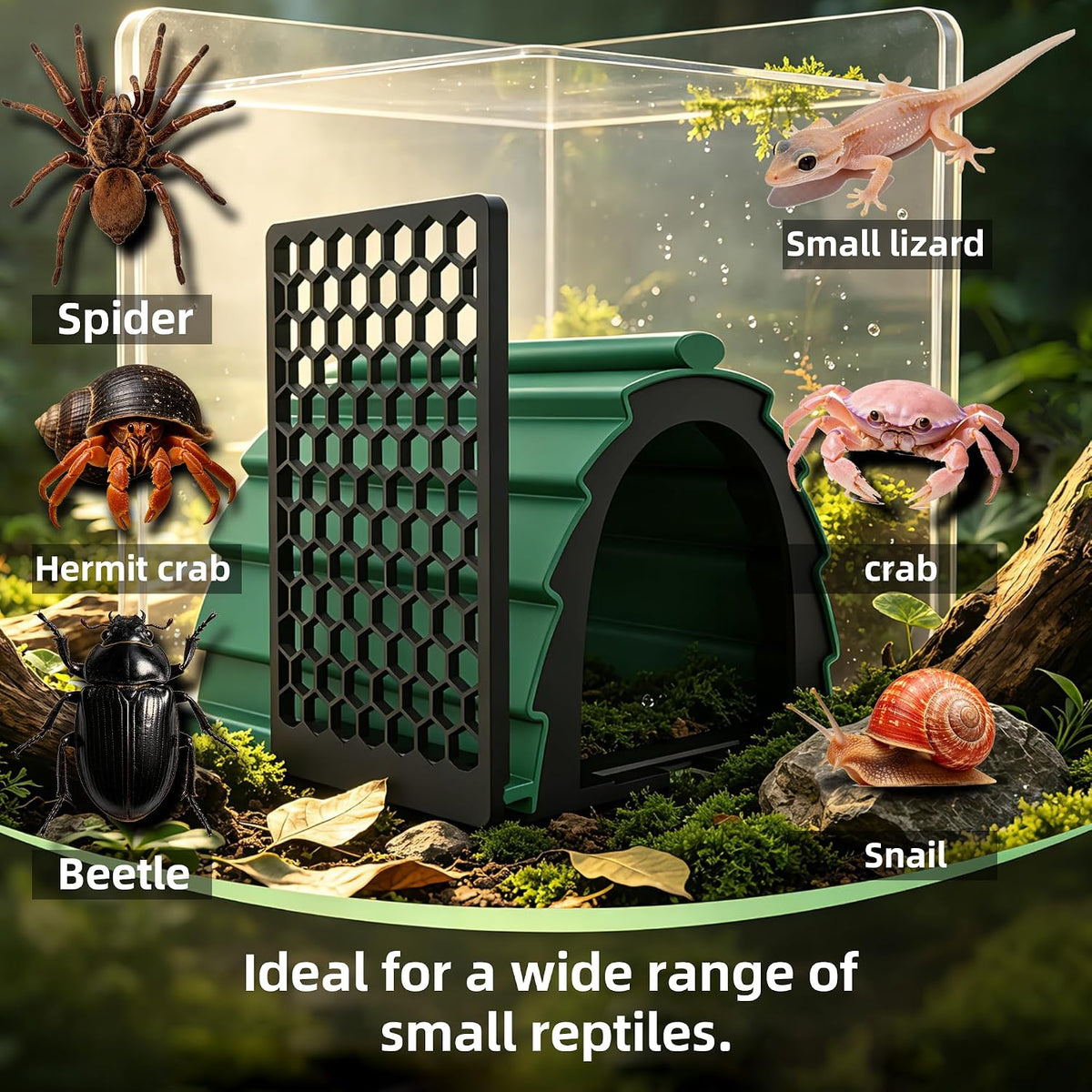 Hermit Crab Foraging Cave with Ladder, Hermit Crab Accessories