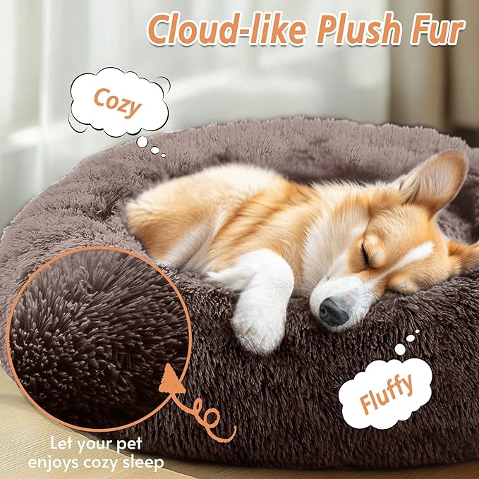 JOLLYVOGUE Calming Dog Bed for Small Dogs - Image 2