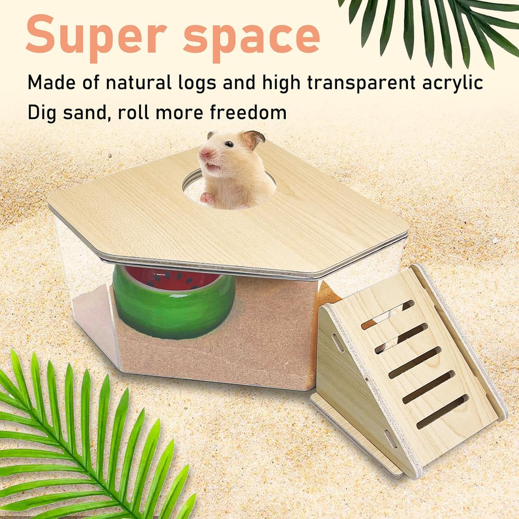 PINVNBY Hamster Sand Bath Box, Transparent Acrylic Sand Bath Shower, Gerbils Digging Room Container with Climbing Ladder and Ceramic Bowl, Litter Box for Hamsters Guinea Pigs Mice (Triangle)