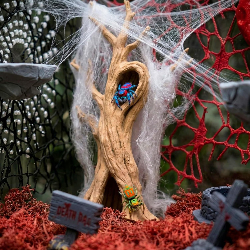 16 Pcs Jumping Spider Habitat Decor Kit - Gothic Tree Trunk Hide with 2 Magnetic Rock Ledges & Red Moon Platform - Spooky Dark Aesthetic Enclosure Accessories, Climbing Net & Moss Set
