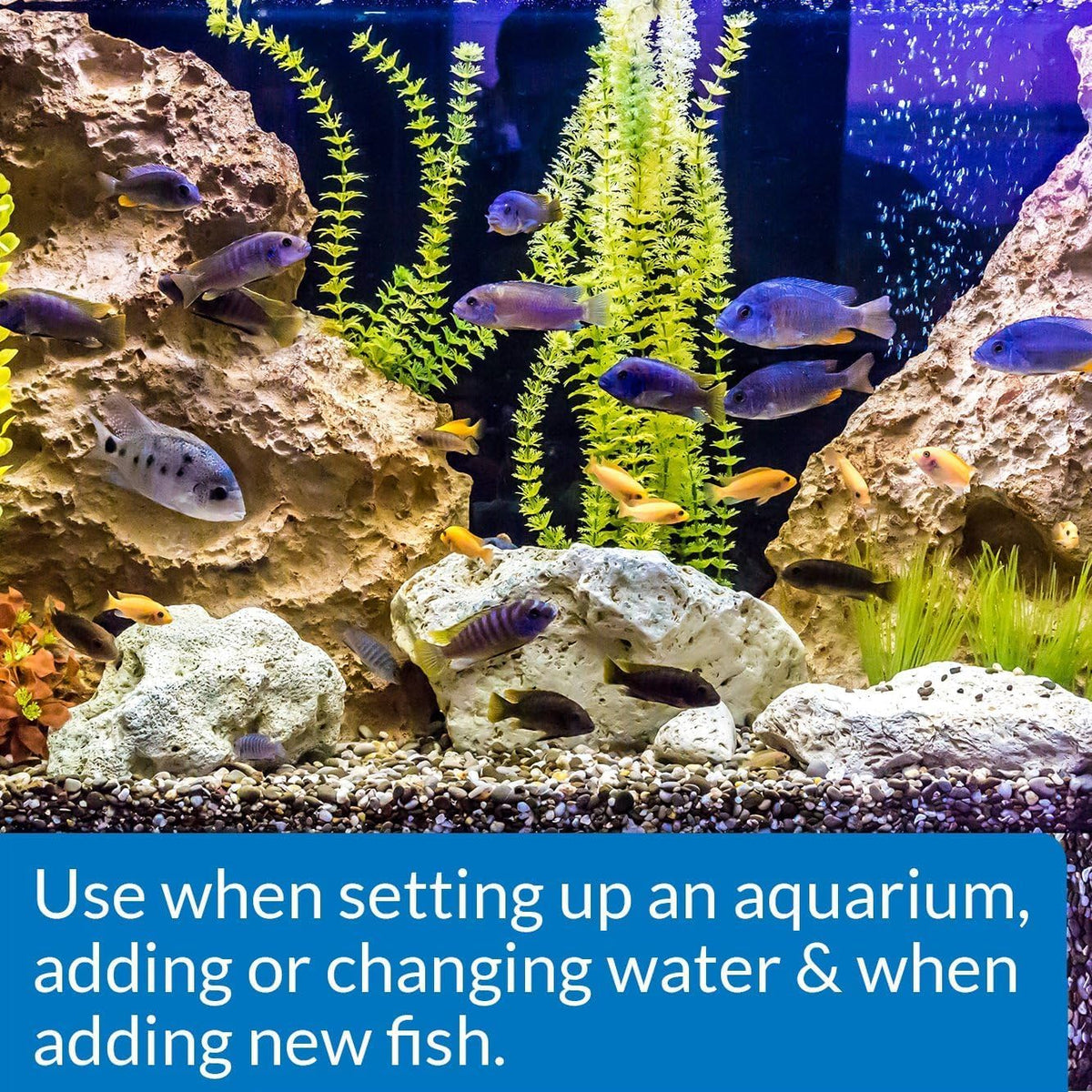 (2) API Quick Start 16oz Bottles for Freshwater and Saltwater Aquariums.