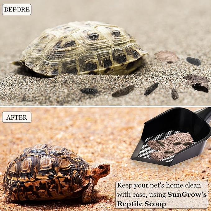 SunGrow Reptile Litter Scoop, Pointed Edge - Image 4