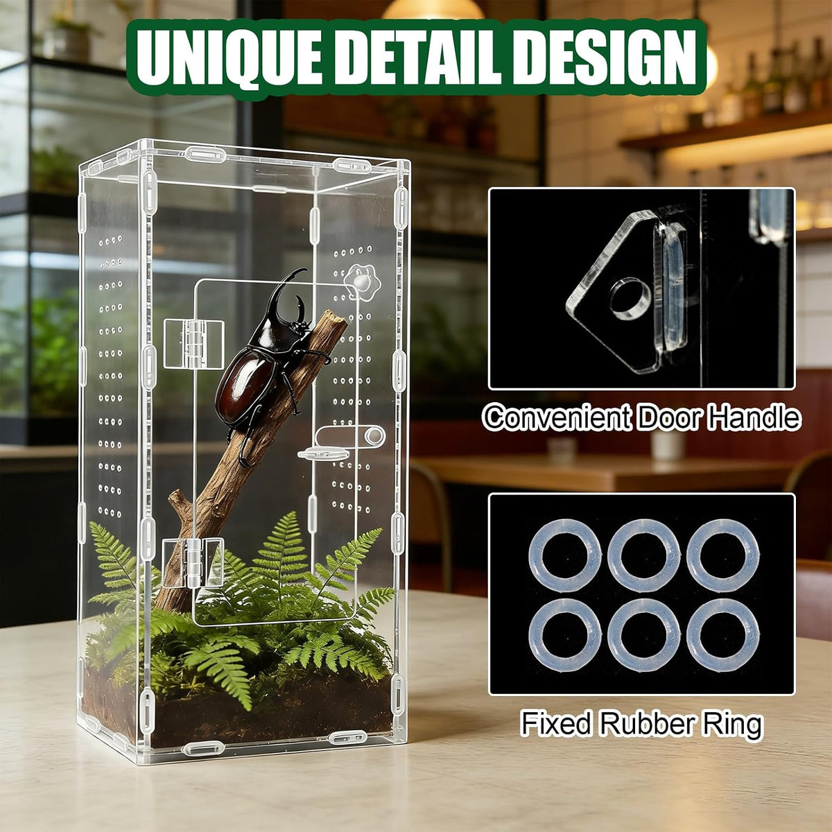 Tall Jumping Spider Enclosure, 6×6×11 in Front Opening Enclosure