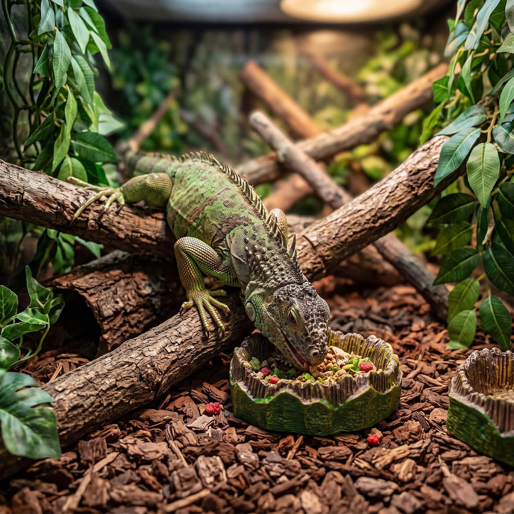 RattanView Bearded Dragon Tank Accessories Reptile Climbing Decor Hut