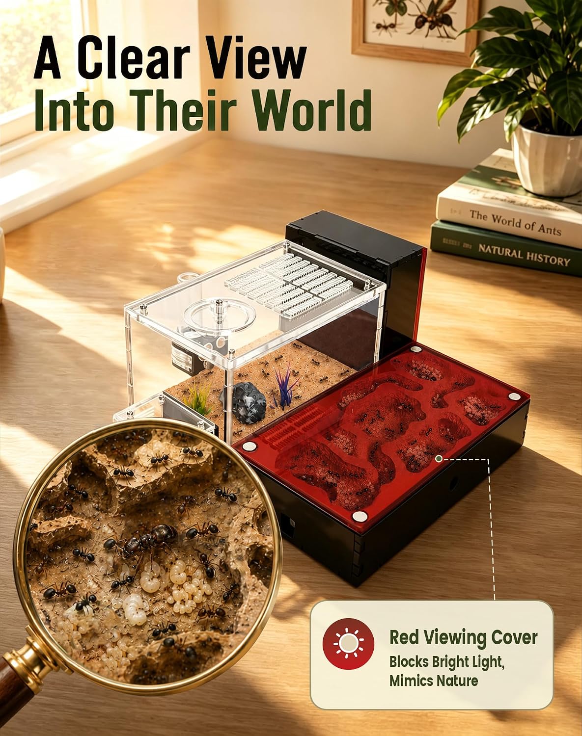 Ant Formicarium for Live Ants & Queen, Dual-Level Ant Nest