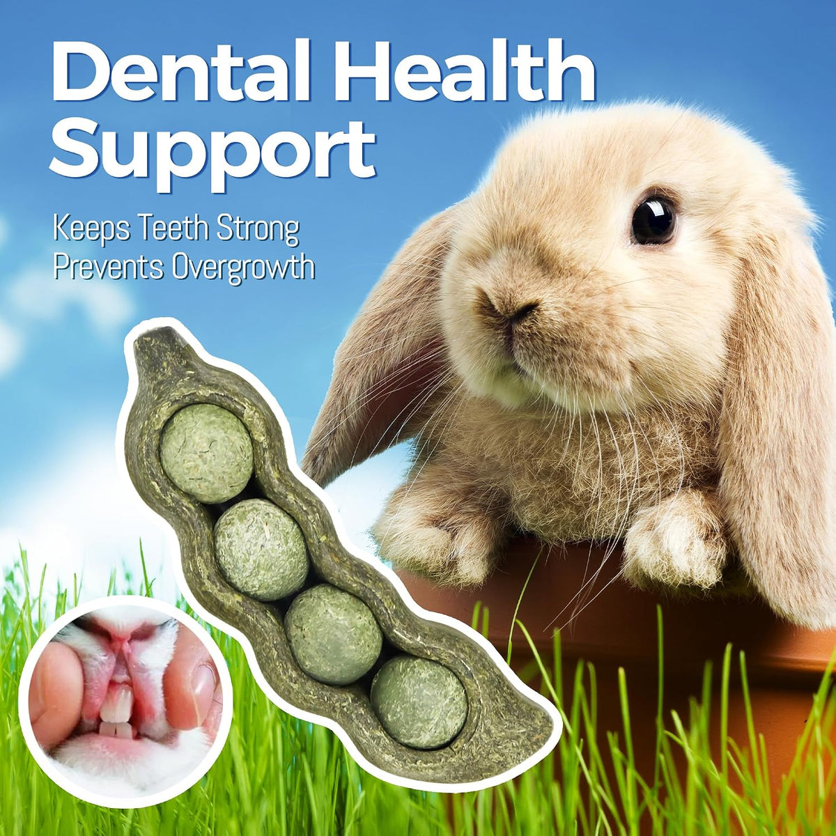 TEEWY Guinea Pig Toys, Prevent Teeth Overgrowth, Natural Vegetables and Timothy Grass, Hamster Chew Toys, Guinea Pig Chew Toys, Chinchilla Toys, 3PCS, Peapod-Shaped