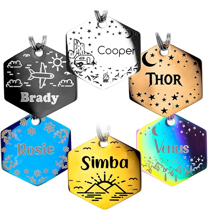 Personalized Dog Tag with 5 Lines of Custom Deep Engraved Durable Stainless by PetANTastic