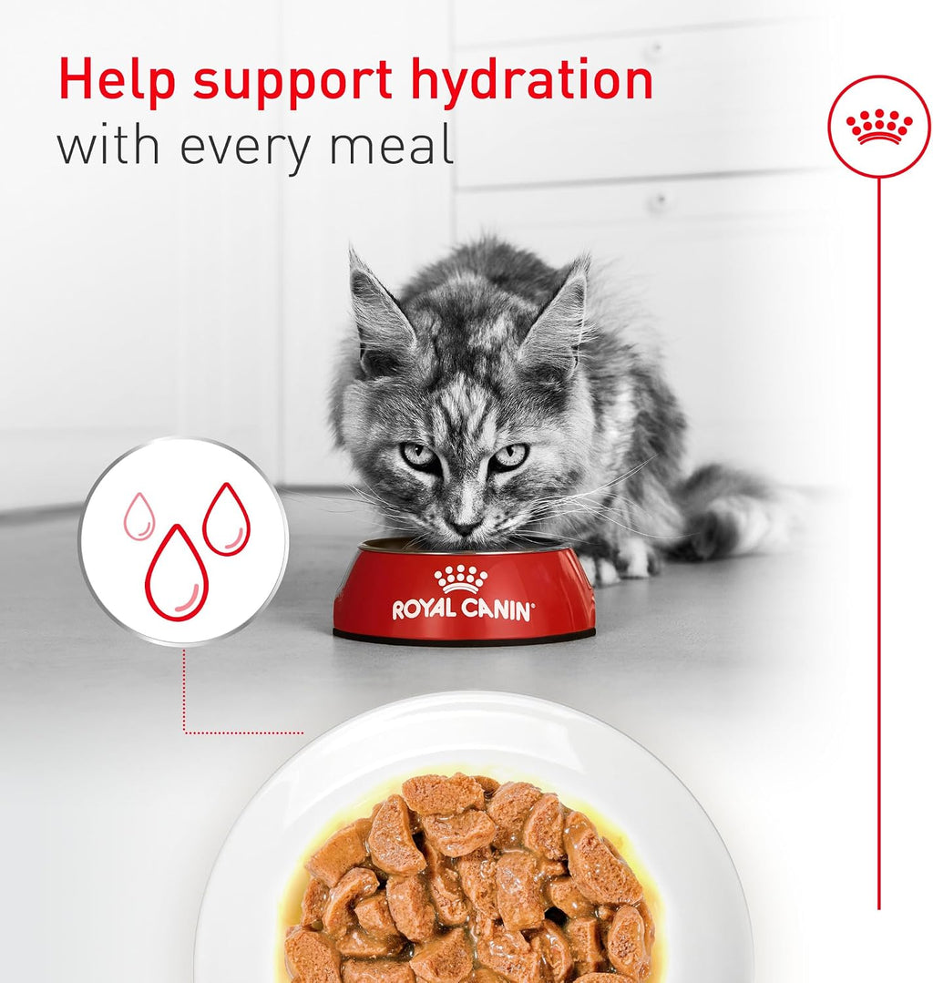 ROYAL CANIN Feline Health Nutrition Aging 11+ Wet Cat Food for Seniors, Thin Slices in Gravy for Cats Over 11 Years, Supports Optimal Health & Vitality, 3 oz can, case of 12