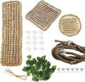 PINVNBY Bearded Dragon Hammock with Suction Cups,Lizard Lounger Natural Seagrass Reptiles Hammocks Reptile Tank Accessories Jungle Plants Climber Vines Leaves Habitat Decor for Lizards Chameleon Gecko