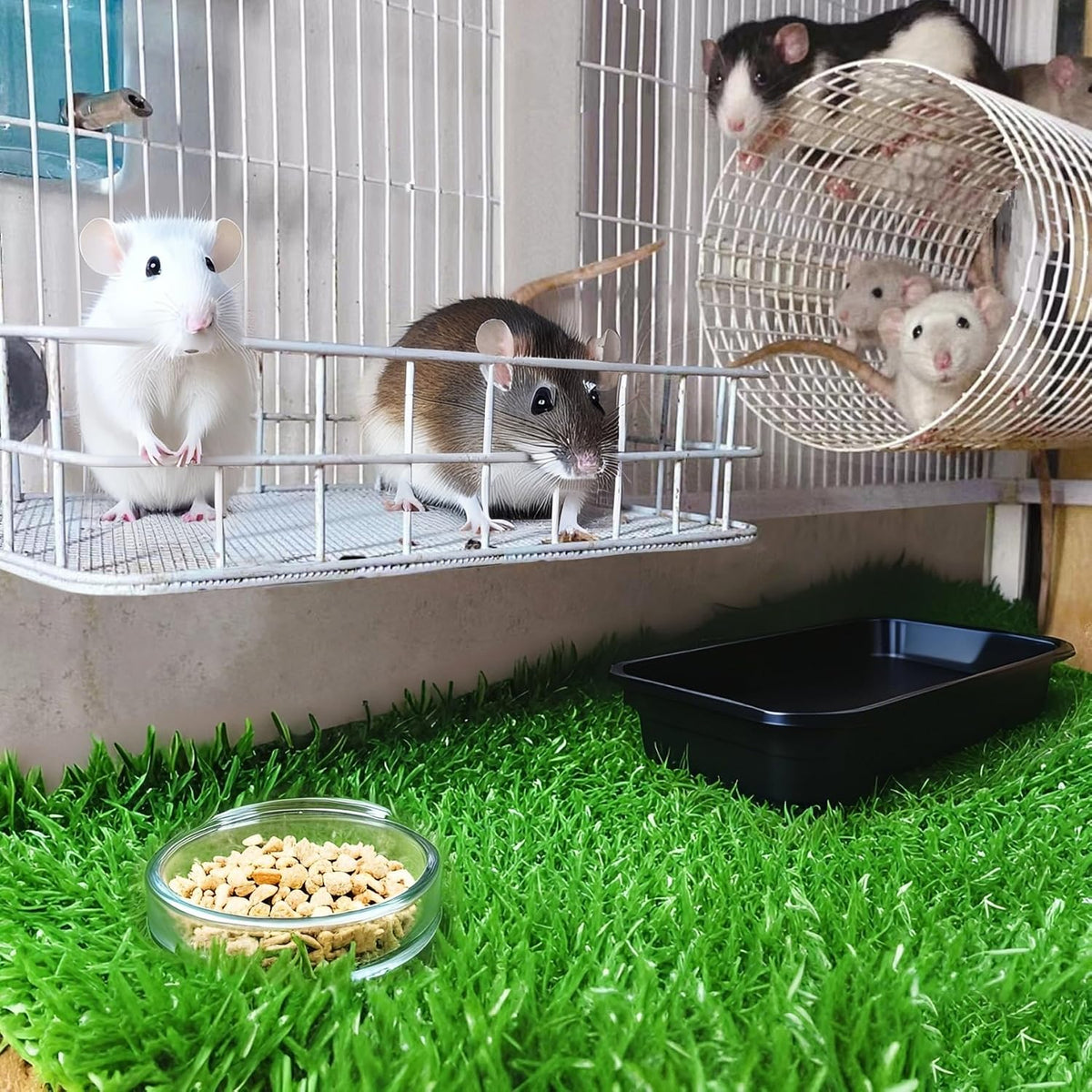 JSLZF Rat Cage Platform with Mat, Metal Chew-Proof Squirrel Ledge