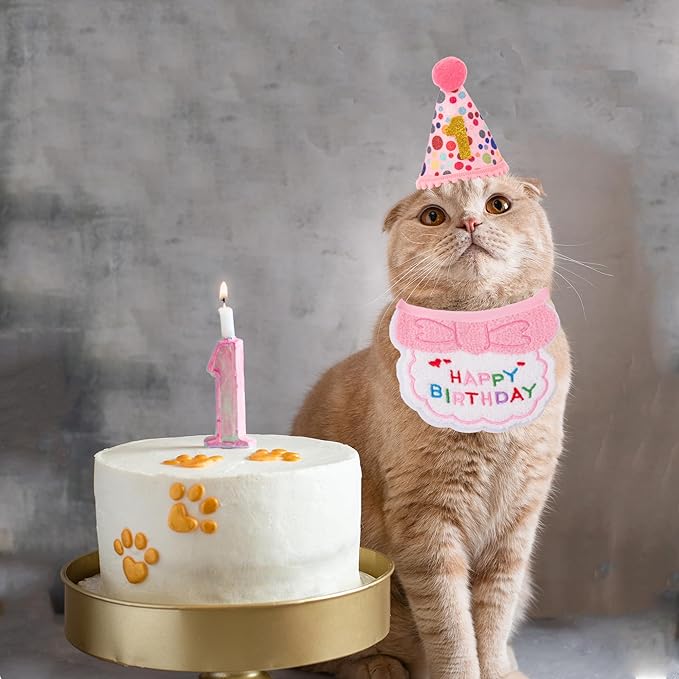 ADOGGYGO Cat Birthday Party Supplies - Image 3