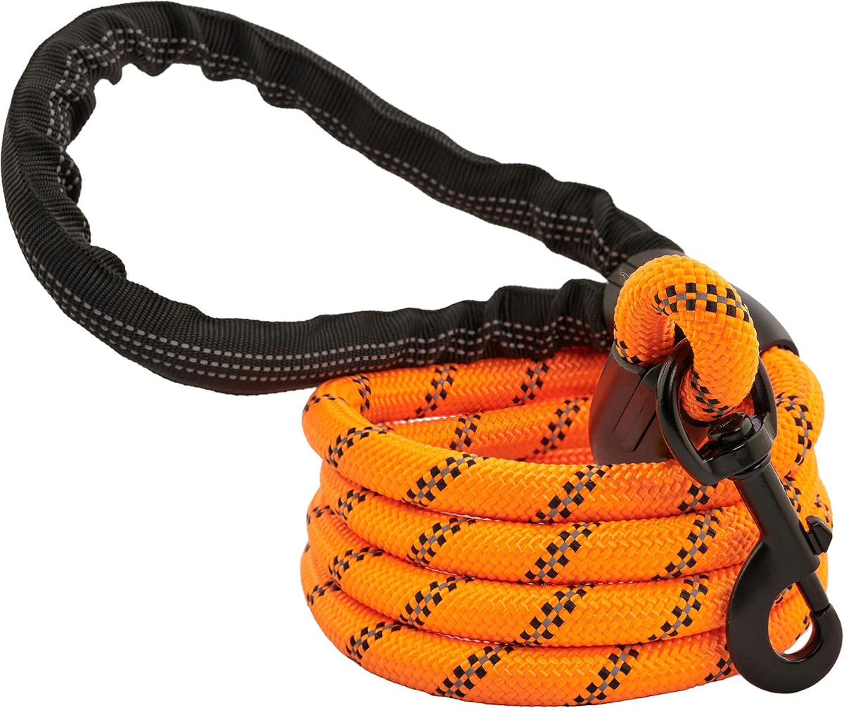 Dog Leash, Reflective Rope, Chew Resistant Paracord for Medium and Large Dogs, Durable Metal Clasp, Attaches to Pet Collar (5 Foot, Black)