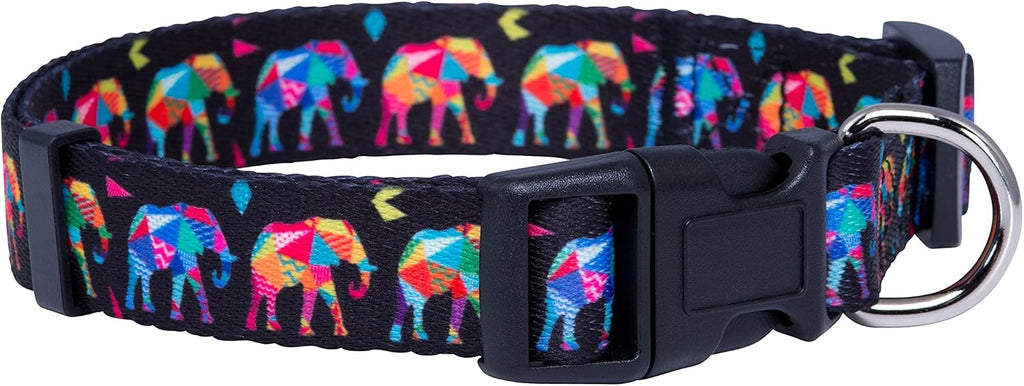 Native Pup Tie Dye Dog Collar, Paws and Bones Hippie Tiedye for Medium Dogs (Medium)