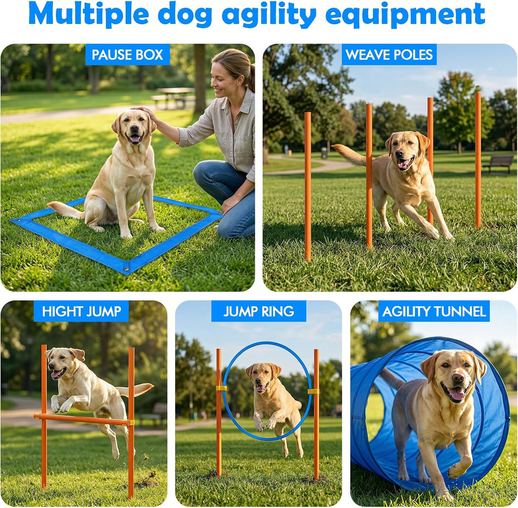 XiaZ Dog Agility Course Backyard Set, Dog Obstacle Course Training Starter Kit Pet Outdoor Game with Tunnel, Agility Hurdle, Weave Poles, Jump Ring, Pause Box, Collapsible Dog Bowls and Storage Bag